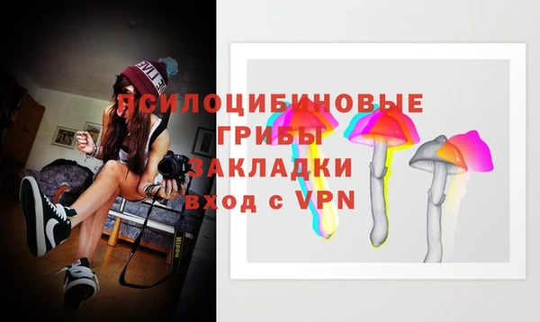 соль ск Тутаев