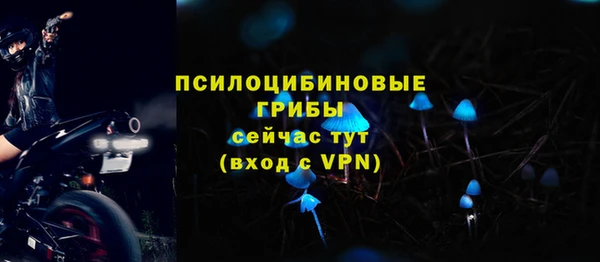 МДПВ Белокуриха