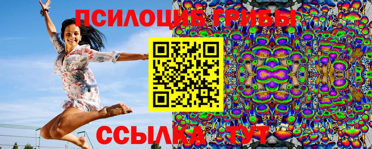 Галлюциногенные грибы Psilocybine cubensis  Белорецк  Псилоцибиновые грибы мухоморы 